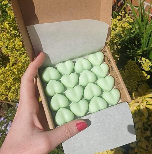 Scented wax Melts | 16pc