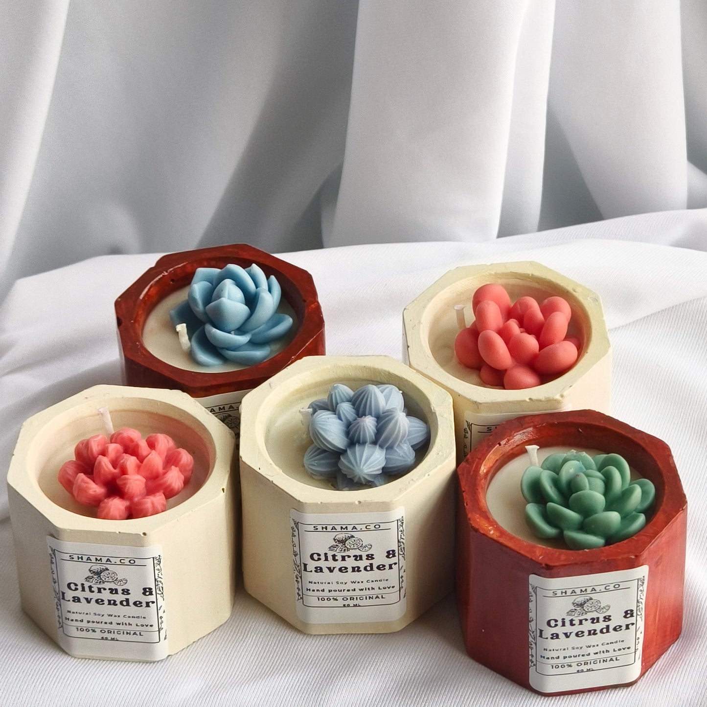 Succulent Citrus Lavender Candles (Set of 5)