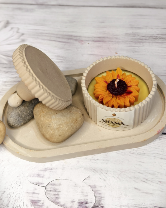 Sunlit Pebble Oasis