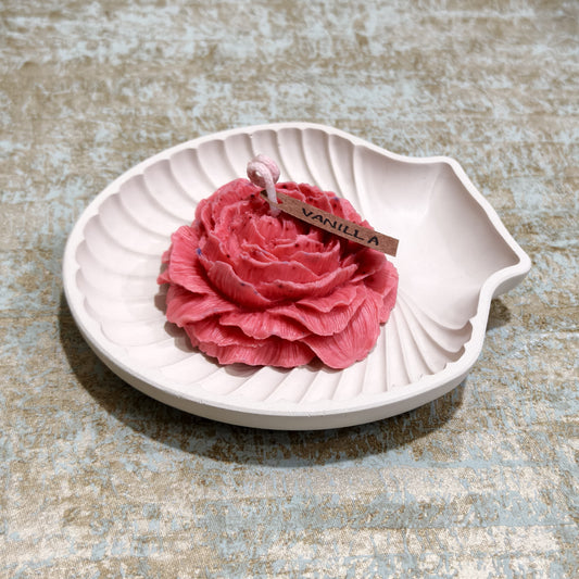 Blooming Shell