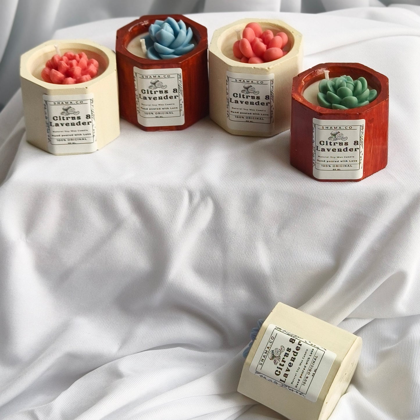 Succulent Citrus Lavender Candles (Set of 5)