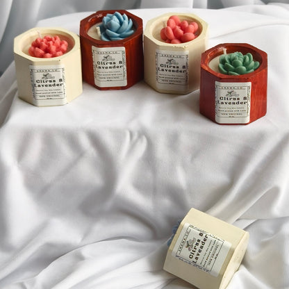 Succulent Citrus Lavender Candles (Set of 5)