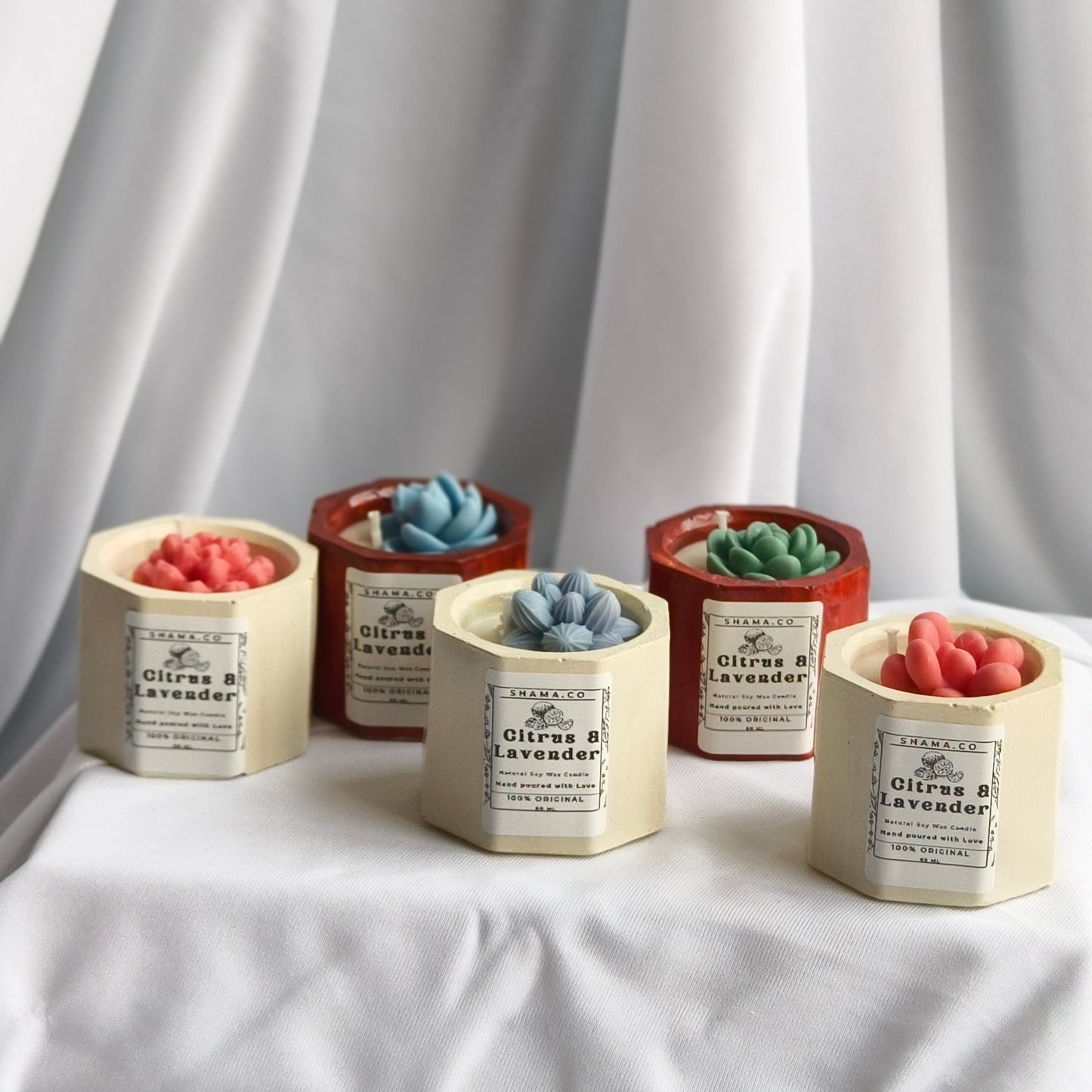 Succulent Citrus Lavender Candles (Set of 5)