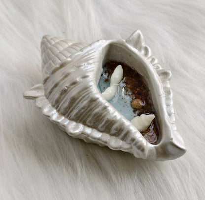 SHAMA's Ocean inspired Conch Shell Candle
