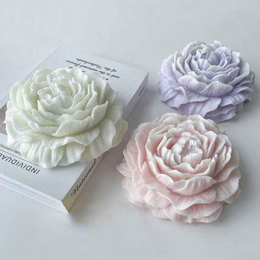 Petal Whispers (Pack of 2)