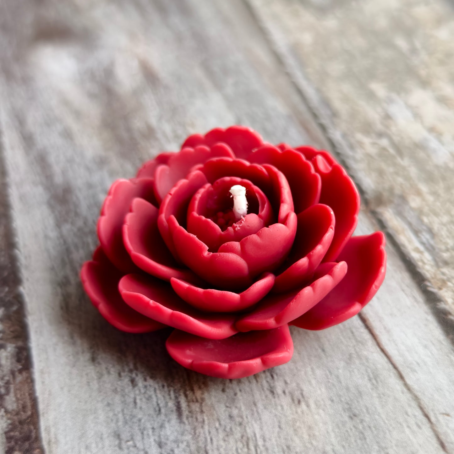 Blushes Candle Collection | Valentine's Day Gift